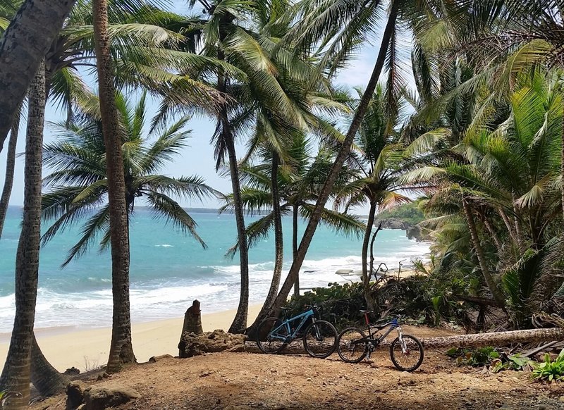 Beach view