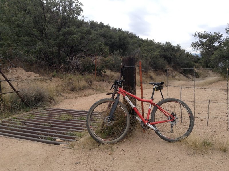 The cattle guard at the top of the "Gap".