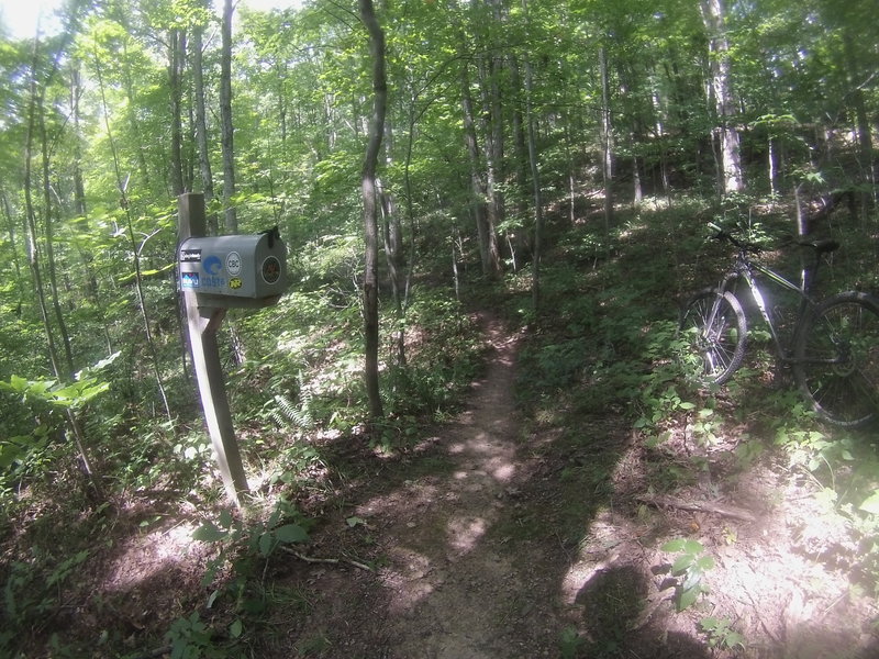 Mysterious Mailbox