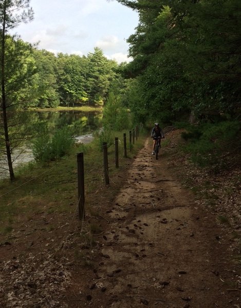 Water's edge on the Intermediate Loop.