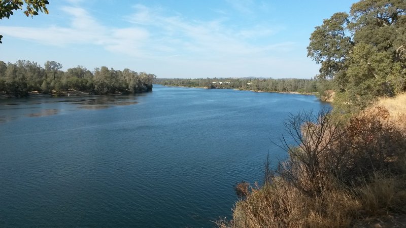 The view upriver from South Bluff Overlook. At this point you can watch the Sacramento State Aquatic Center practices and competitions as the starting line is usually right below this spot.