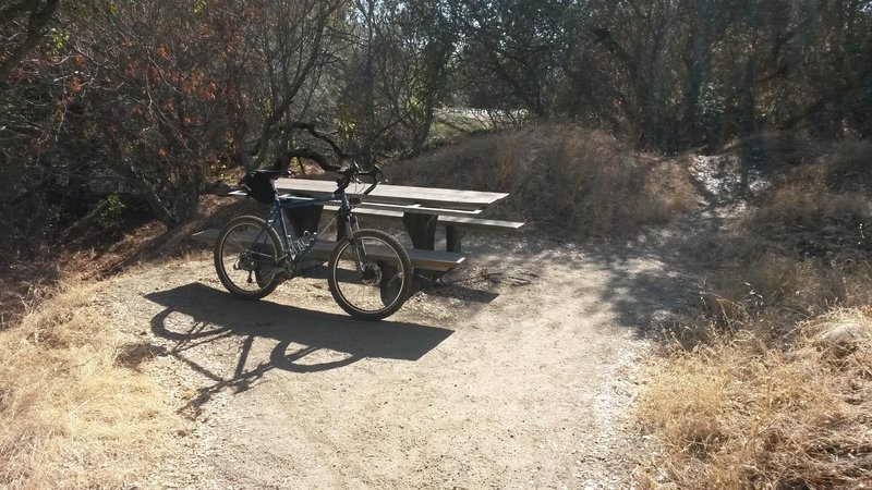 The Lake Natoma trail has many little turnouts and stub trails where the state park has placed picnic tables. A perfect place for a picnic with the kids!  Always a beautiful view too.