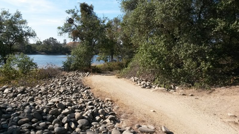 The typical trail surface - smooth decomposed granite.  Most of the trail is good for taking kids along and lets them practice "real" mountain biking.