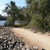 The typical trail surface - smooth decomposed granite.  Most of the trail is good for taking kids along and lets them practice "real" mountain biking.