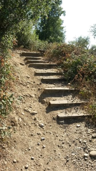 Railroad tie stairs.