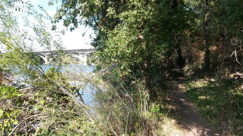 The trail travels under the bridge for Folsom Blvd.