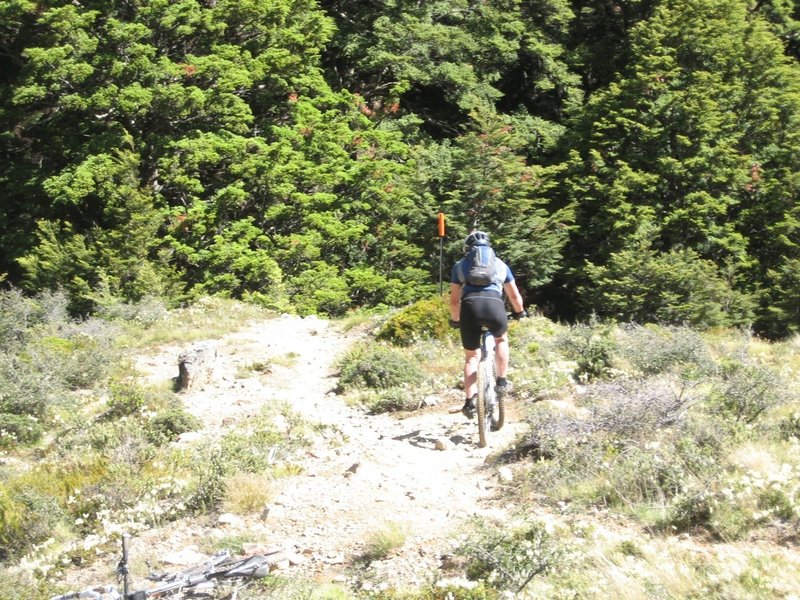 Riding along Smyths Stream.