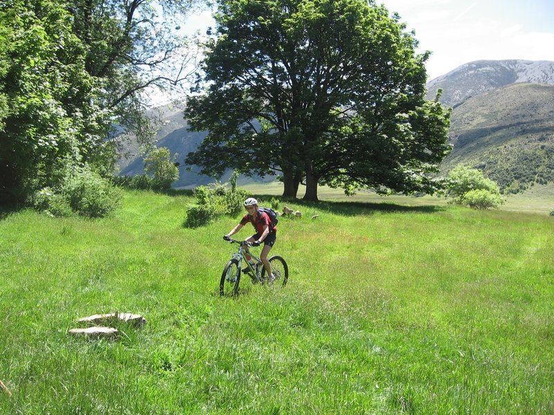 Approaching Stanley Vale Hut. Not long ago cattle grazed these valley bottoms.