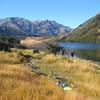 Looking up to Stanley Vale from Lake Guyon Hut.