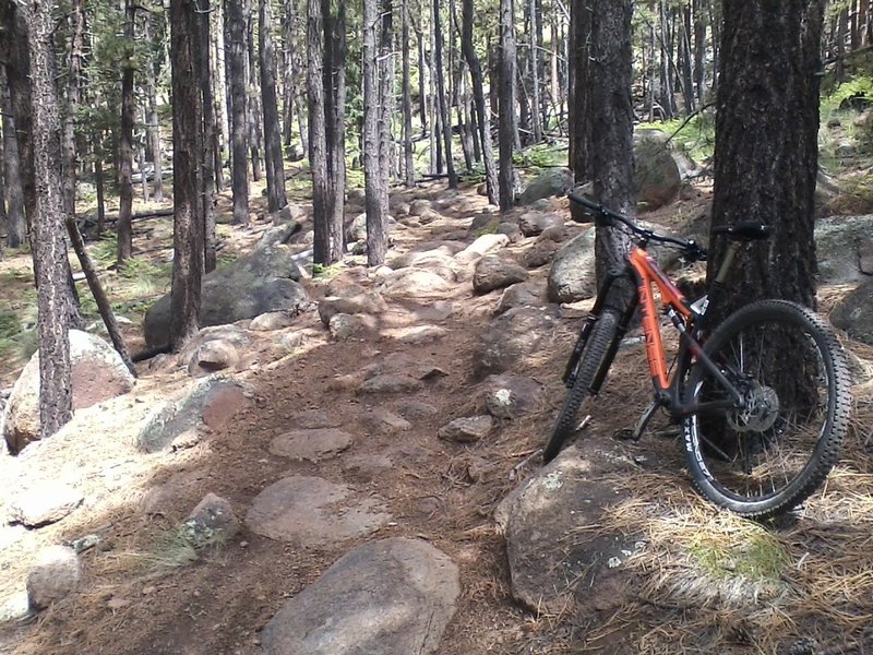 One of many rock gardens on the secret trail.