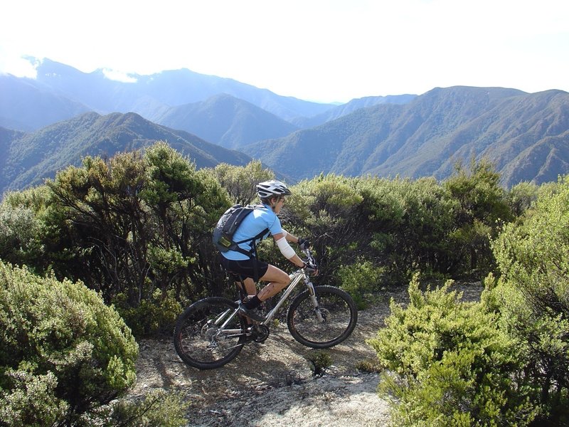 View into the deep gorge of the Waingaro River