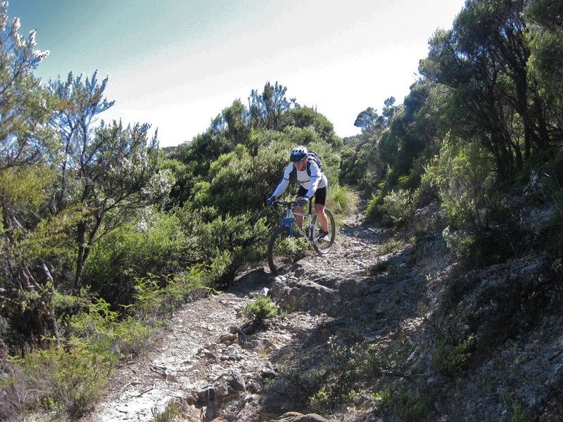 Start of the descent to Waingaro Forks just past the Riordans turnoff