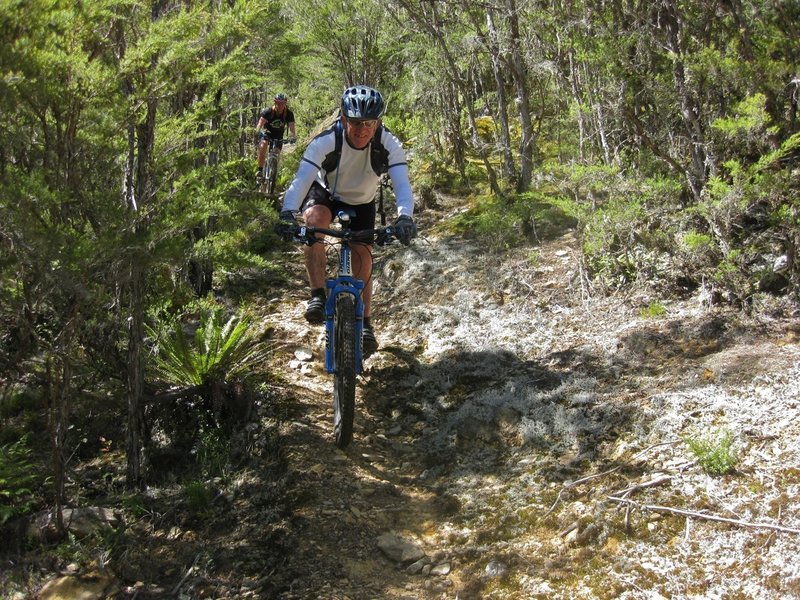 Riders enjoy the manuka lined descent to Waingaro Forks