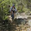 Riders enjoy the manuka lined descent to Waingaro Forks