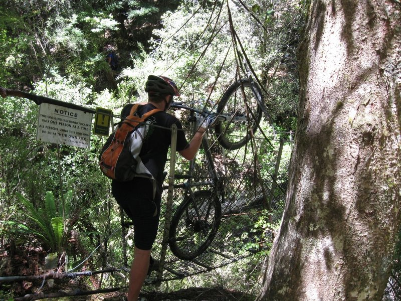 A swingbridge 200 metres before Waingaro Forks Hut is an obstacle for bikes. It is better to leave bikes before the bridge.