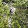 A technical bit of rock on the descent from Riordans turnoff