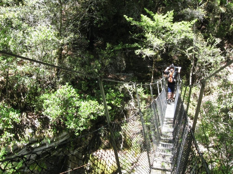 The swingbridge just before Waingaro Forks Hut spans an impressive gorge just below a waterfall