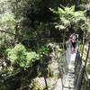 The swingbridge just before Waingaro Forks Hut spans an impressive gorge just below a waterfall