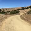 Open Roads on the Wildcat Creek Trail