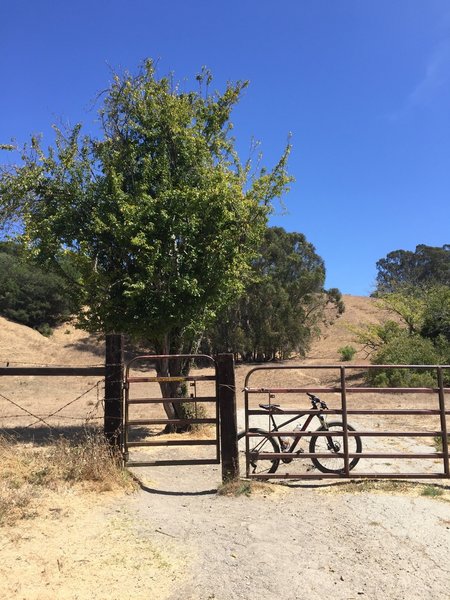 Cross through the cattle guard on the Belgium Trail