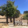 Cross through the cattle guard on the Belgium Trail