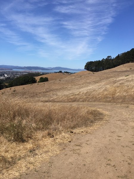 View after a short climb up the Belgium Trail