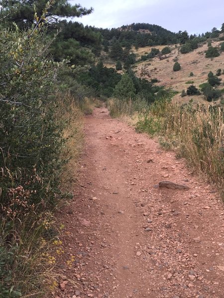 Trail view climbing up.  Most of the 3 mile climb resembles this terrain.