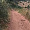 Trail view climbing up.  Most of the 3 mile climb resembles this terrain.