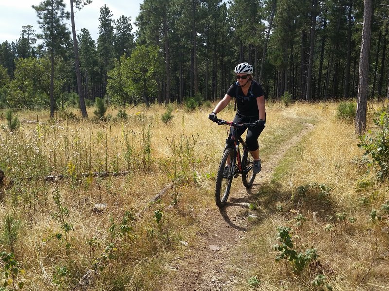 Enjoying the lightly-used singletrack!