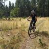 Enjoying the lightly-used singletrack!