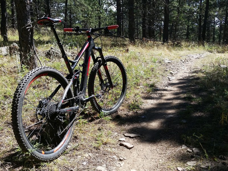 This trail is very wooded and makes for very fun riding