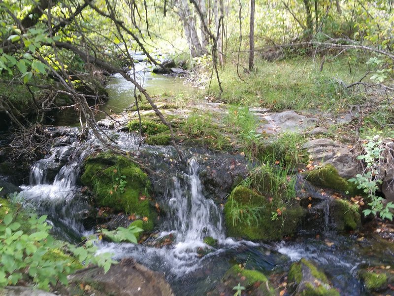 Beautiful mini waterfall along the creek.