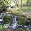 Beautiful mini waterfall along the creek.