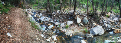 Great end to a great ride...tall trees and cool water.