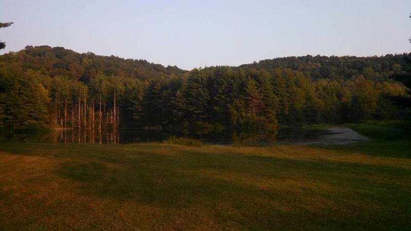 Overlooking the pond near the entrance to Lamping Short Loop Trail.