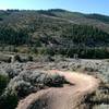 Snaking downhill on deliciously formed and bermed trail