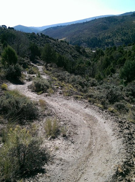 A look downhill as the trail goes along above the ravine