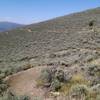 The twisty berms at the start of Lee's Way Down