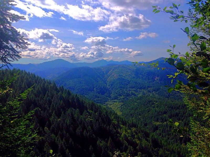 Roughly just under the max altitude on this trail (a little over 1800 ft) and about 5.5 miles from the east starting point, after all that climbing its worth the moment to stop and take in this view.