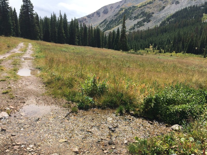 End of the singletrack. Watch for motos, jeeps and atvs and get ready to get rowdy.