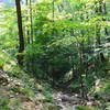 Rocky and narrow trail over looking the valley below from the Bobcat Trail