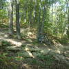 Switchback turn on the Bobcat Connector.