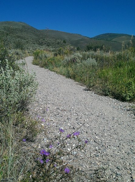 Nearly at the top of the June Creek Trail, looking north