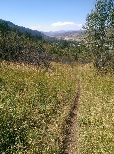 Pretty meadows with aspens line this peaceful trail