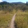 Looking south and approaching the junction with the main Whiskey Creek Trail