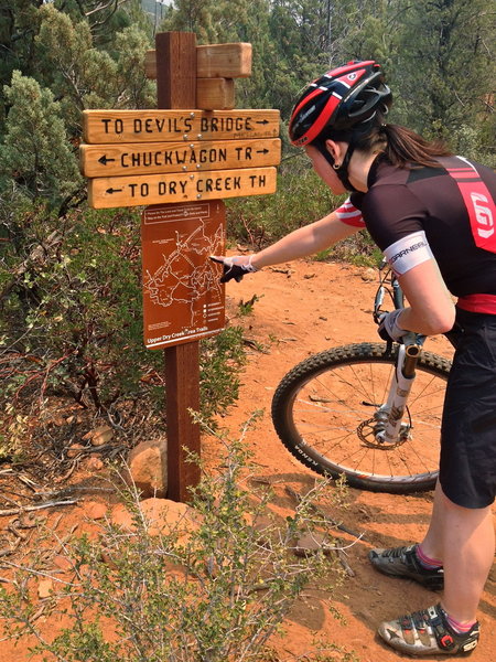 Deciding which way: Chuckwagon or the West Sedona Tour?