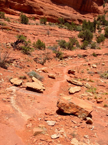 Some excellent geology from the Mescal trail.