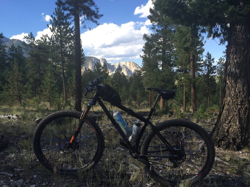 Views from the Colorado Trail