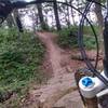 Hard packed rock descent into a fast singletrack on the Red Loop