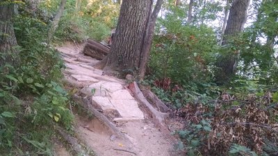 Mountain Bike Trails near Fort Custer State Recreation Area